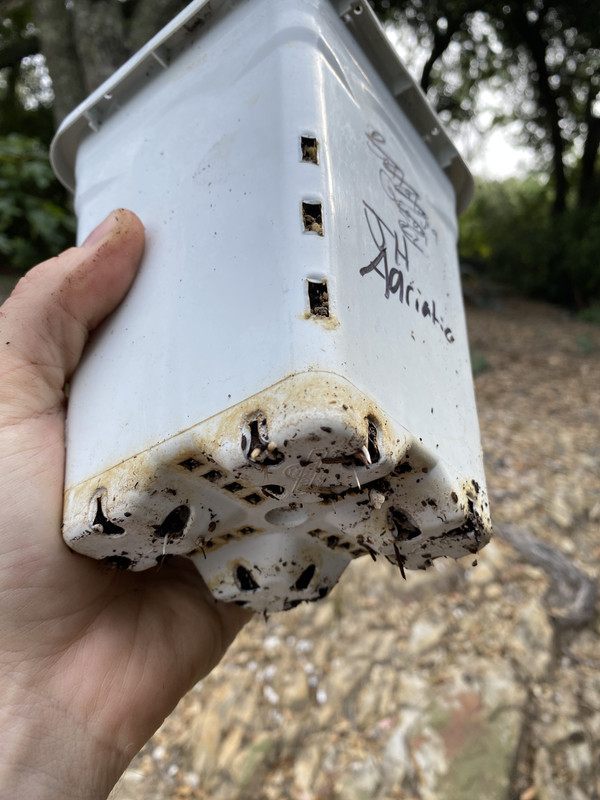 C8F986C0-7D1D-472F-86DA-C404A133129E