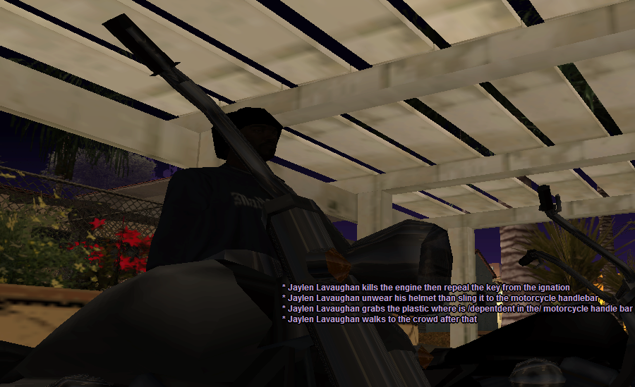 ss11.png
