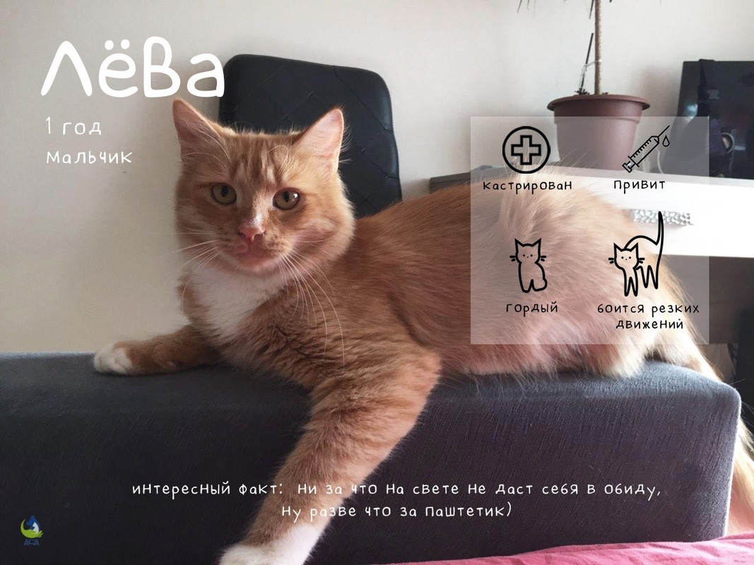 Лёва_Ш