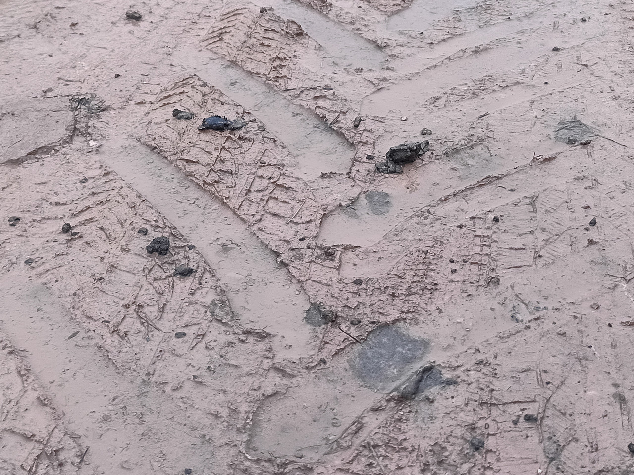 IMG 20251207 152846 482