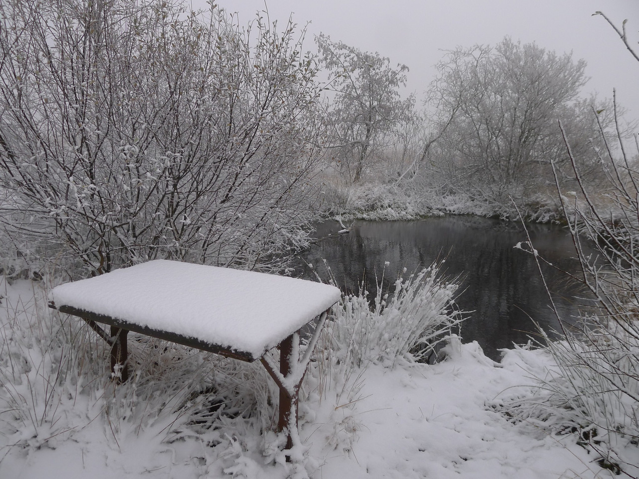 Photo 2025 11 19 001 (sans doute) Signal de Botrange (source BMCB)