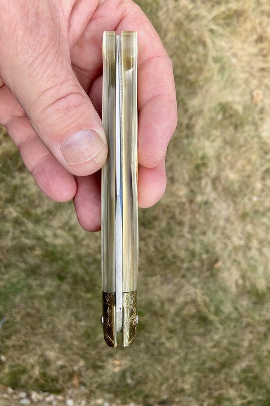 A3581A97-3BD6-4365-ACD8-1E2B01B413A9