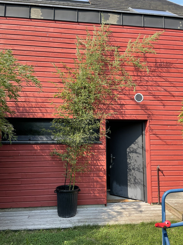 9AA742AF-256E-4E6F-954A-F2C258DD1A4B