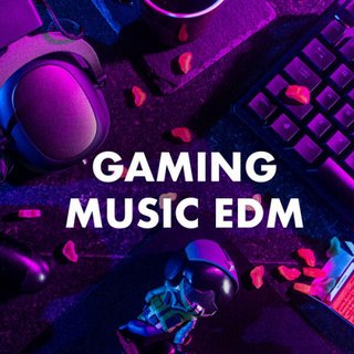 Gaming Music EDM (2023) .mp3 - 320 kbps