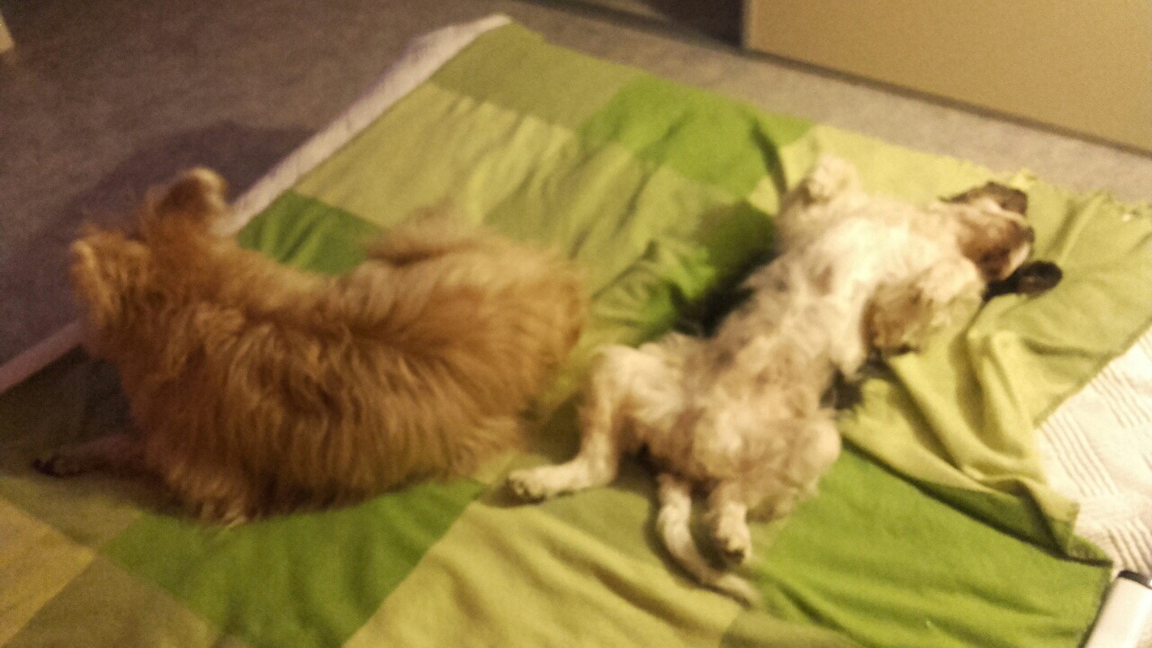 4589F7D1-51F0-4041-93A8-1BF18282E5C5