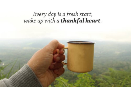 zamilované citáty o lásce