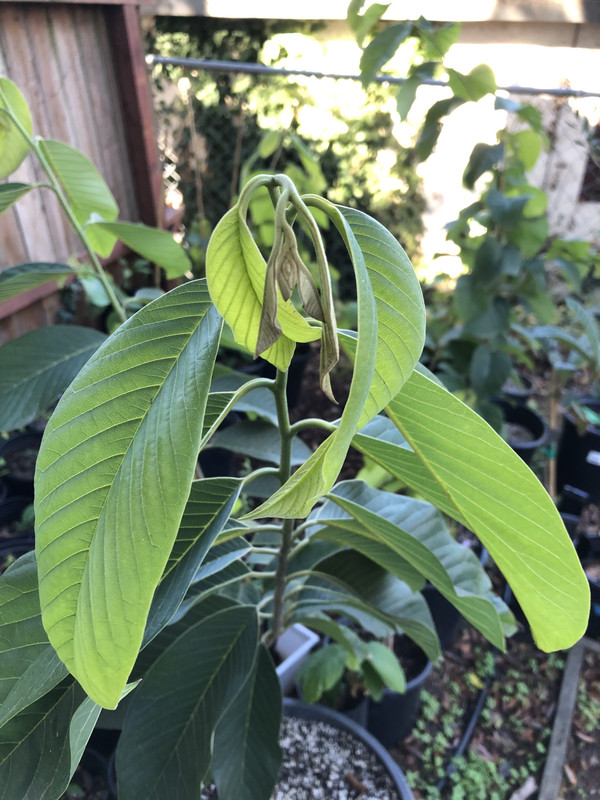 F0ED9A24-088B-4BD1-AD6E-F7EAD127A189