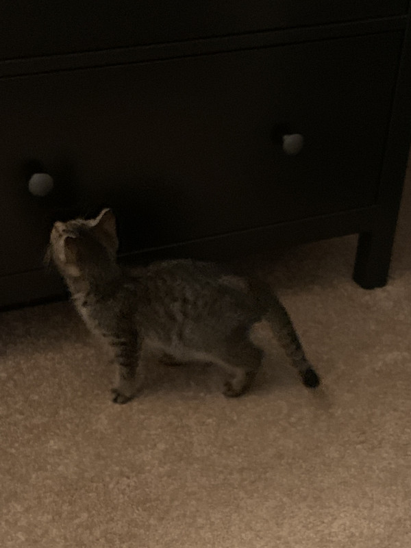 709E6E05-6AE6-4DBF-A9DF-9FAA4627D31D