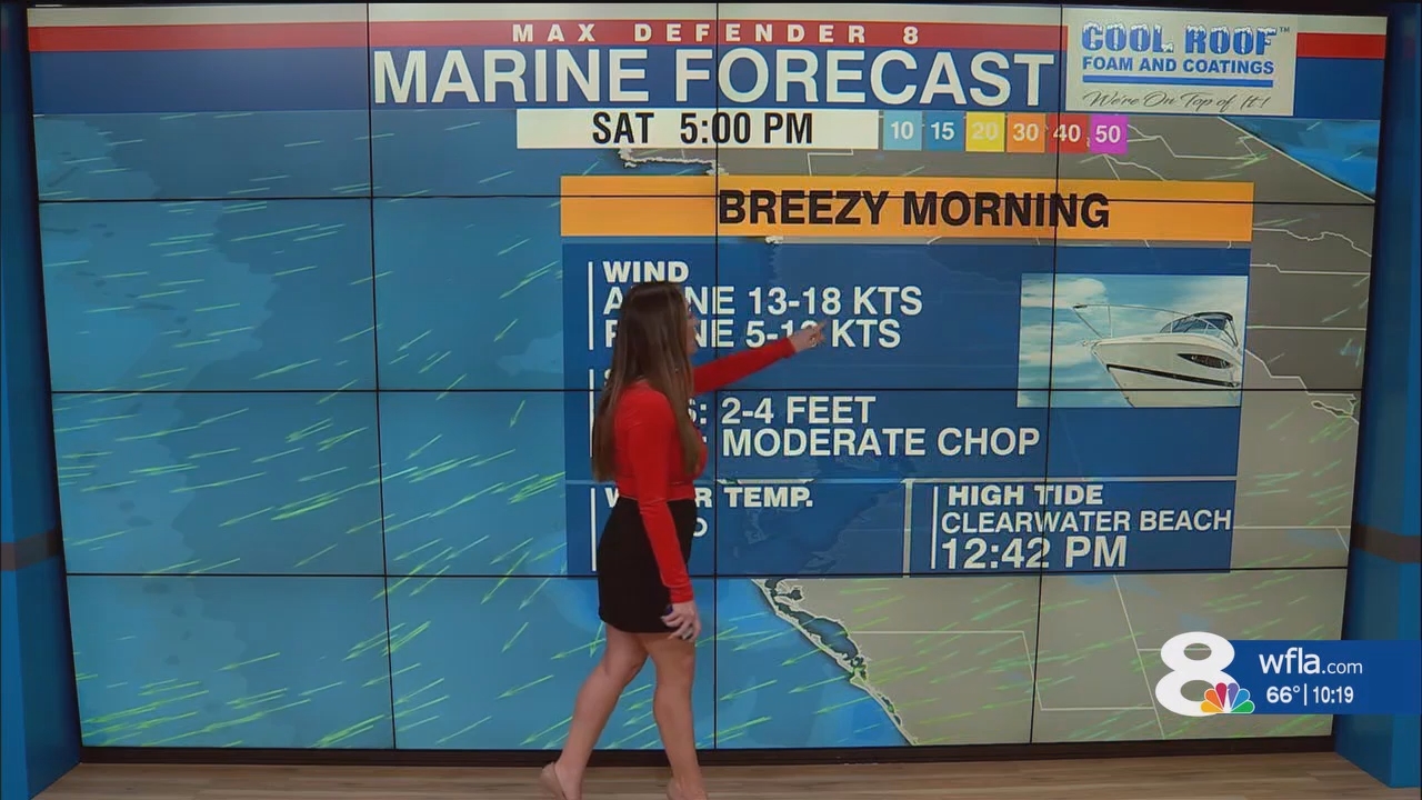NewsChannel 8 News at 1000pm_20241116_03000330.ts_snapshot_20.51.006