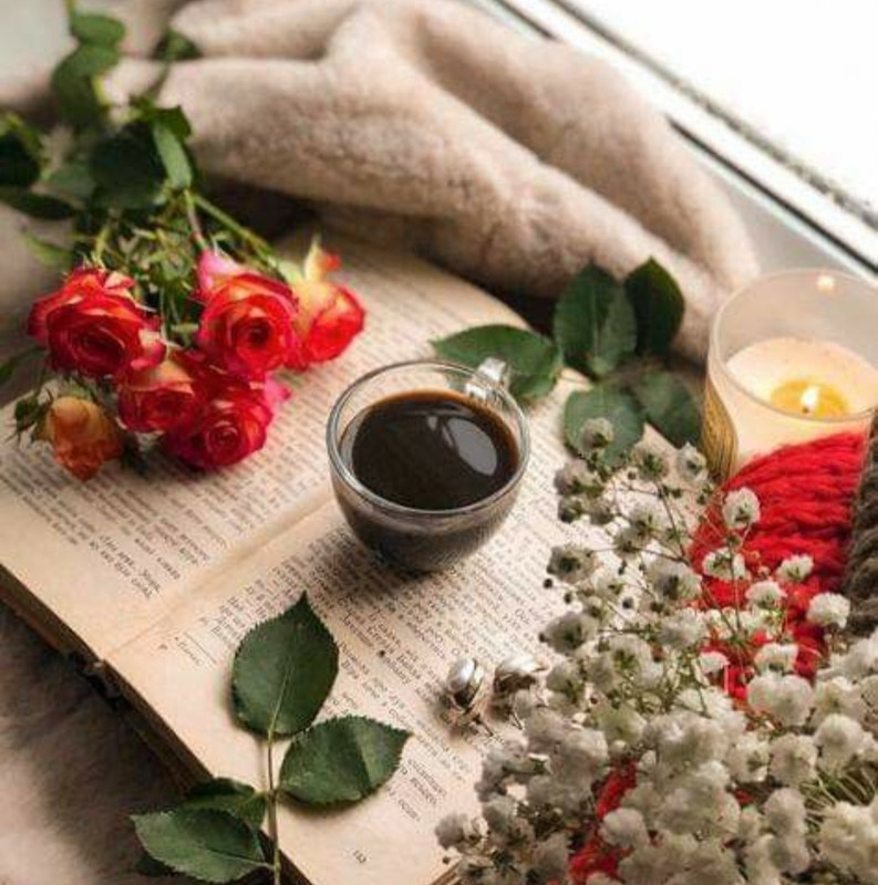 Screenshot_20221213-210814_Chrome