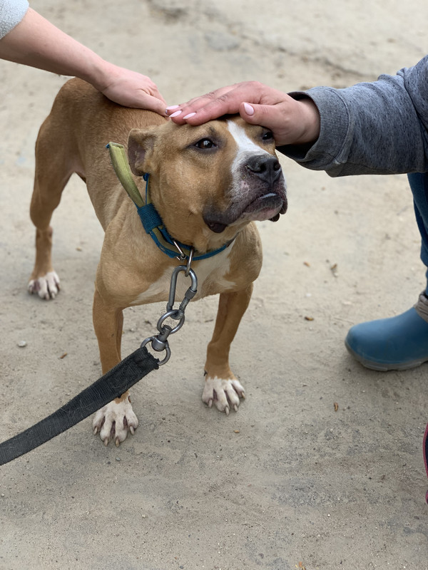 5D142F2E-AFD4-4BA1-8BB0-87366CA6C07B