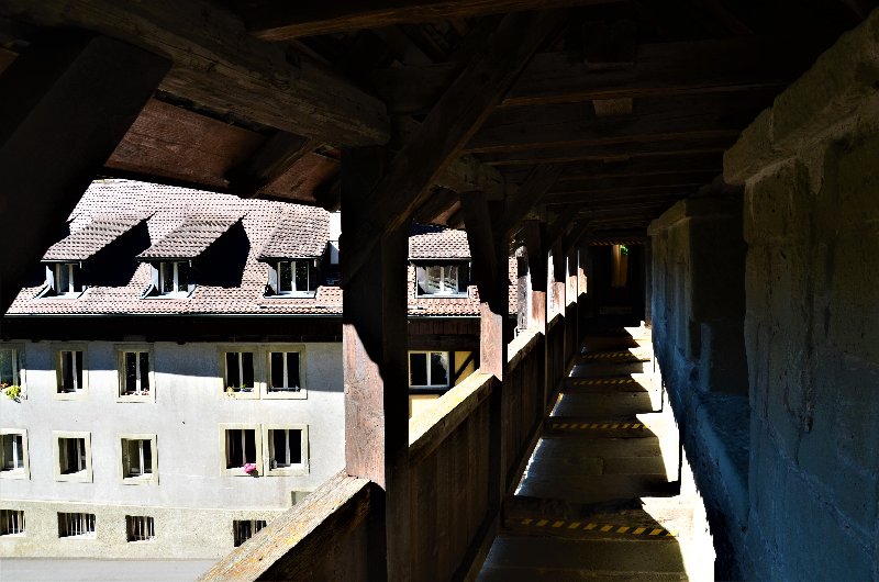 FRIBURGO-4-9-2019 - Suiza y sus pueblos-2019 (69)