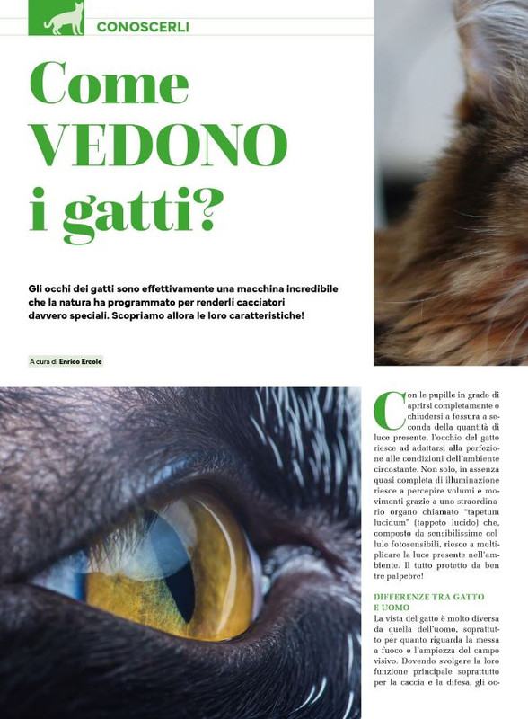 Ga Ma Dic 2024-Gen 2025 (11)