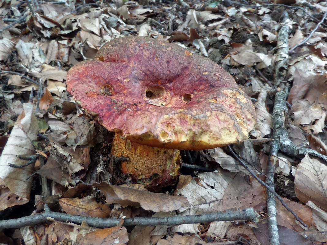 359687585-1680947682352011-7611361731414