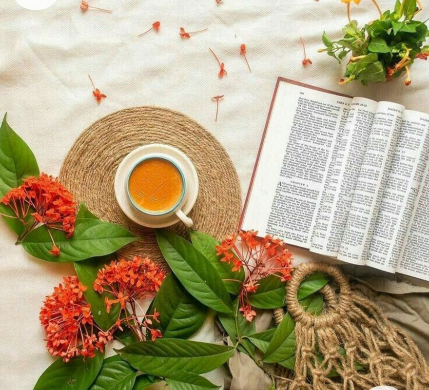 Screenshot_20221227_004706_Chrome