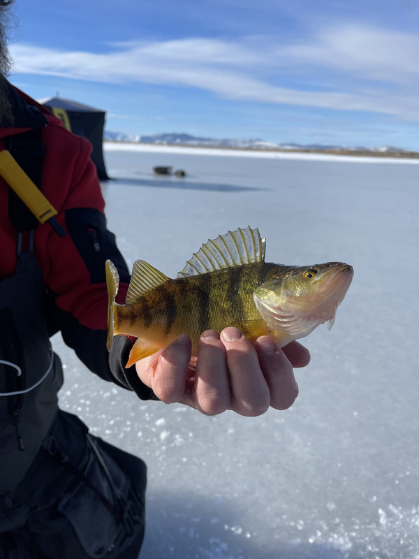 E0D20C40-BA50-4B80-B60F-F636DDFBFE5D