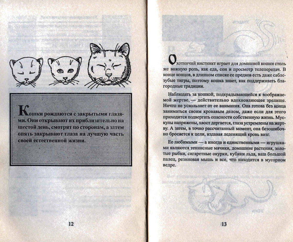 Bejker-Stiven-Kak-zhit-s-koshkoj-nevrotikom-page-0008