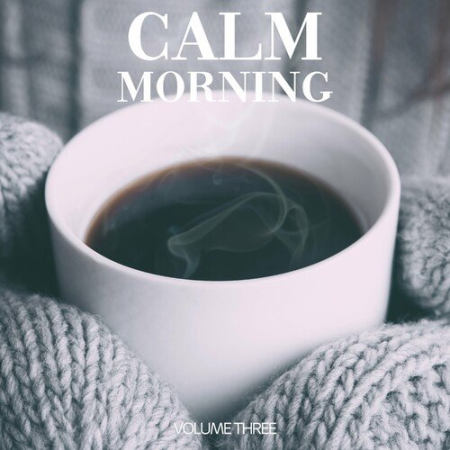 985642e2 8b1a 499c 93e4 1fd441f8316e - VA - Calm Morning Vol.3 (2023)