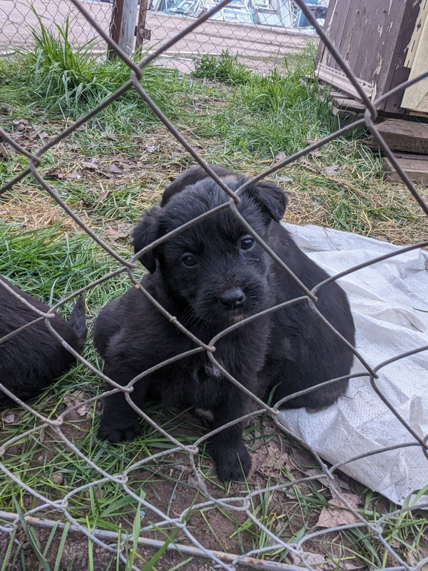 photo_2024-04-23_22-47-42 (3)