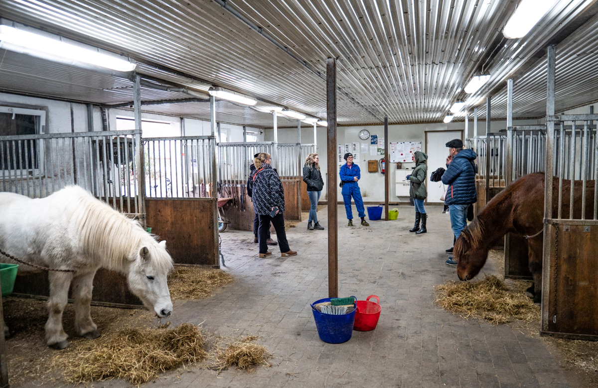 Nórske sociálne farmy ako inšpirácia pre Slovákov