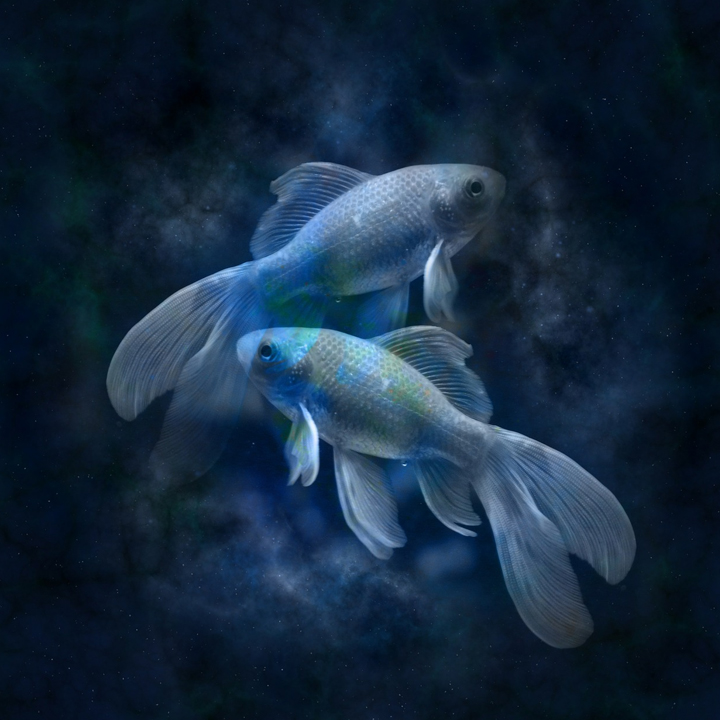 Pisces
