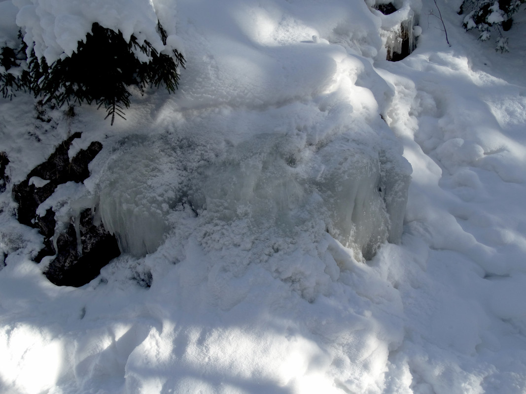 05.24 - DSC06270 (Czesio1)