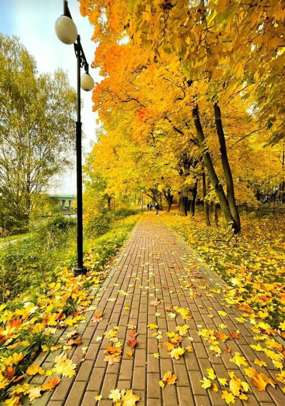 Screenshot_20231222_174540_Pinterest