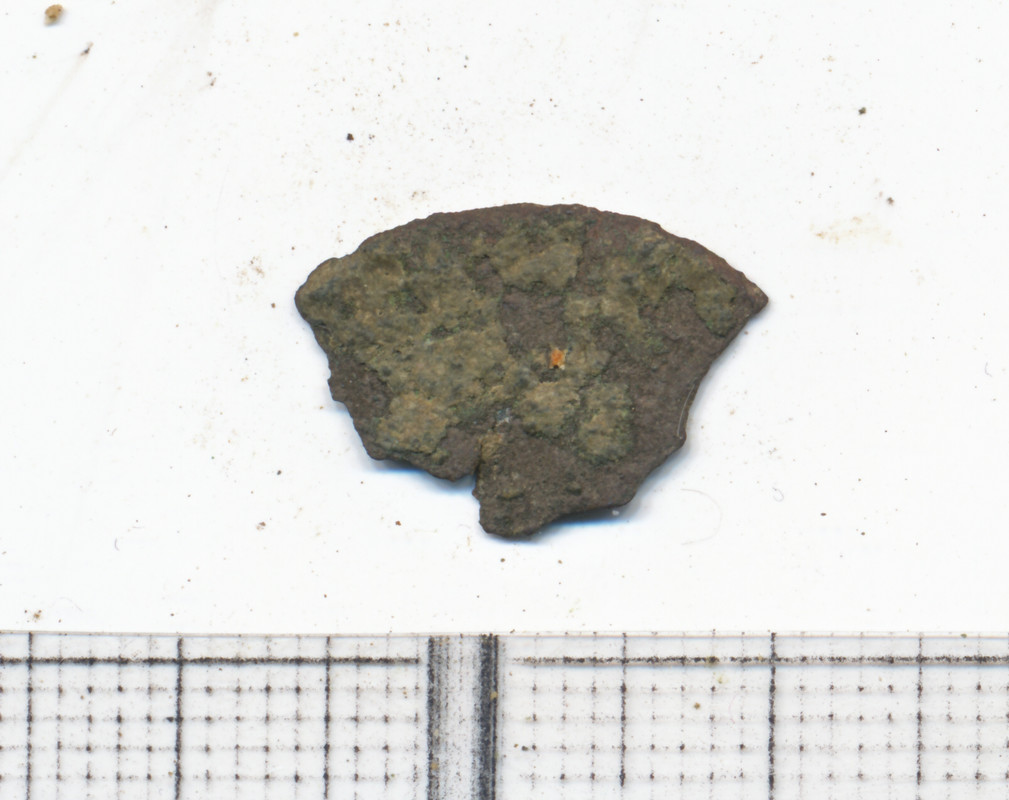 R15205_0008