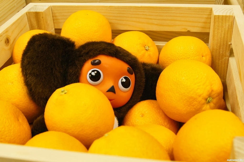 igrushka-apelsin-Cheburashka-31884.jpg
