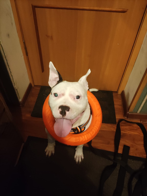 7B74F638-E82C-43C0-AB4B-D06EB93C82E4