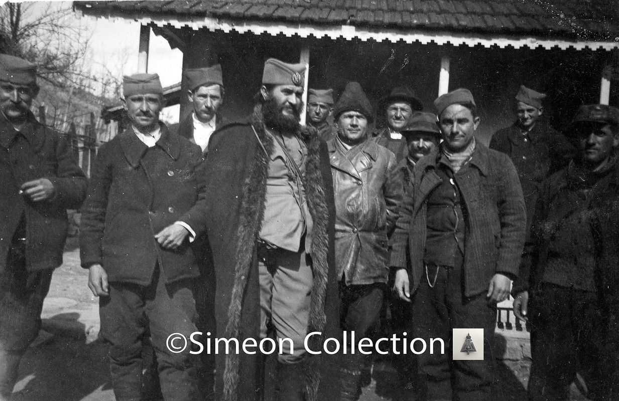 chetniks100330copyright__1_