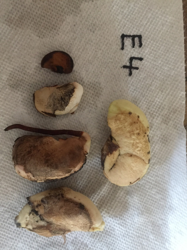 1634BB98-405F-494A-BB97-7FF789F36BD5