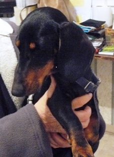 [Image: P1100004.jpg]