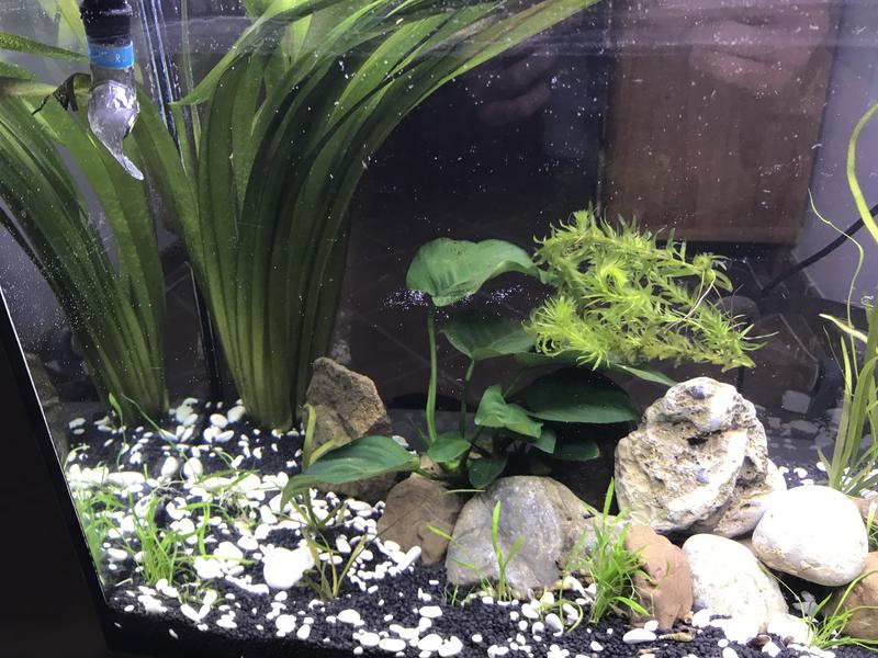 317E553F-3A47-4E7C-B86F-4B18AB6C5E30