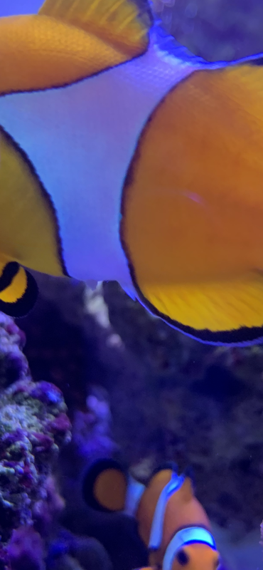 76CB5B42-FFEB-4FF3-A250-AE22960A6F12