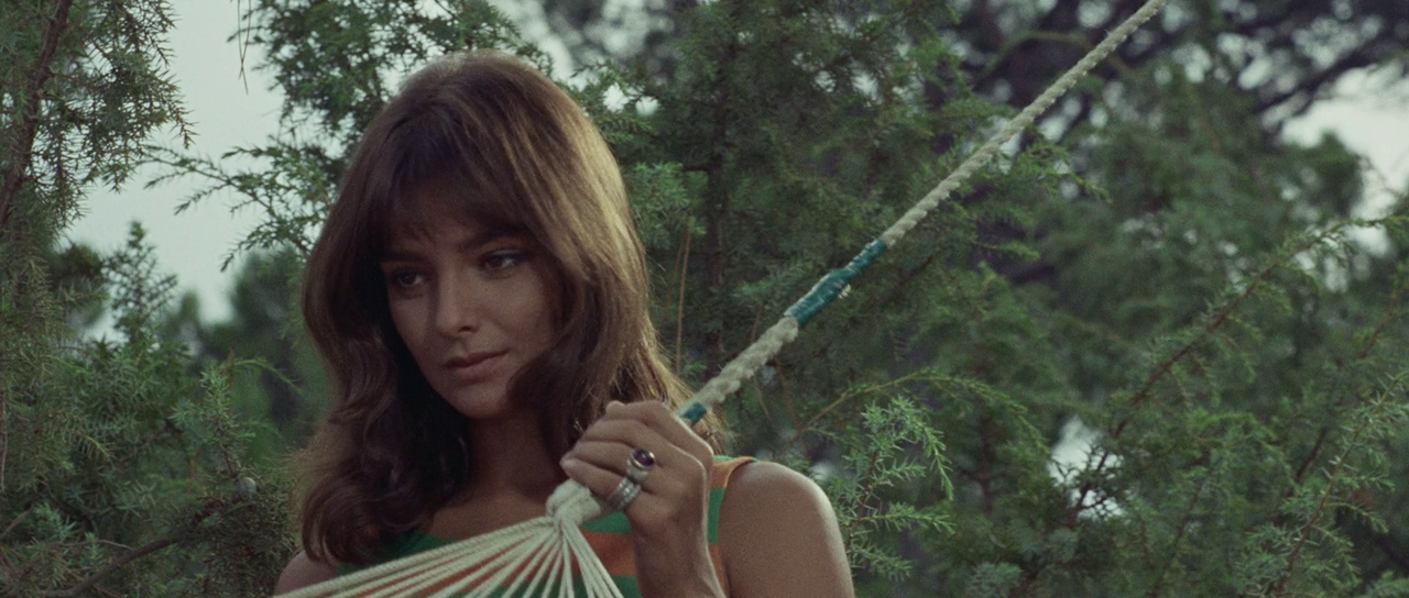 vlcsnap-2024-03-08-19h21m23s470