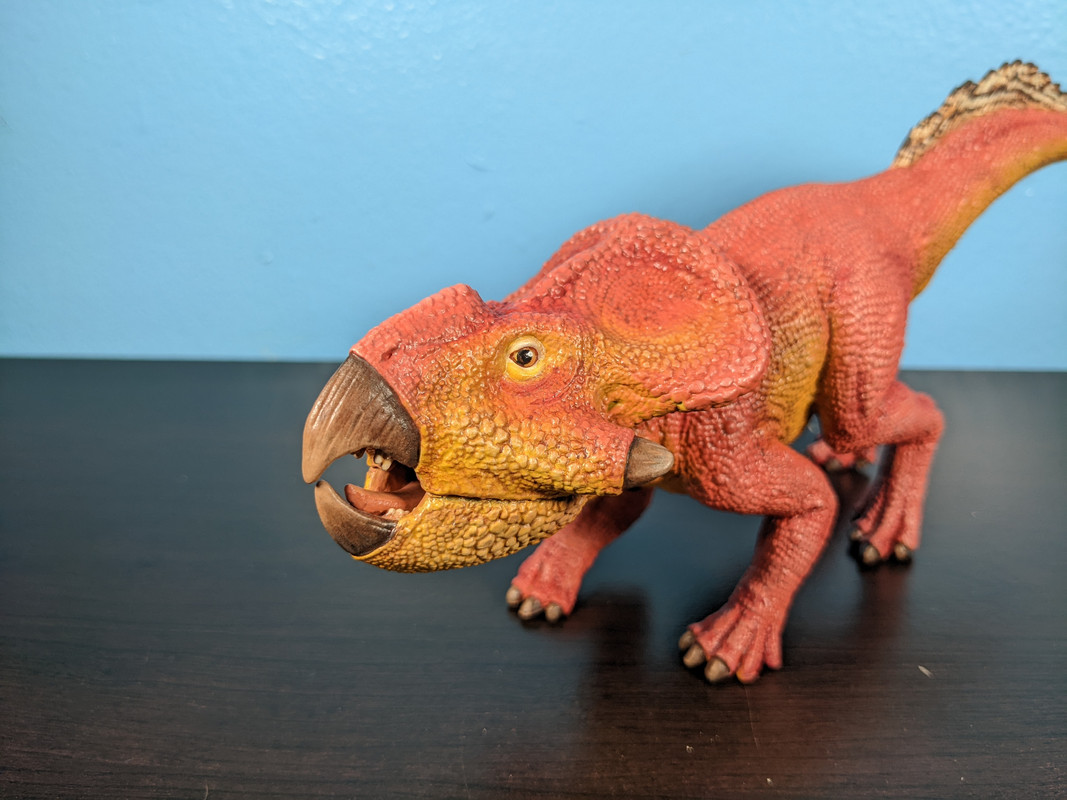 CollectA Protoceratops (Bix from Dinotopia) by Paintingdinos PXL-20220628-215853984-MP