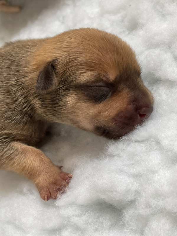 52814C15-87C3-44A7-BB71-425100F53D00