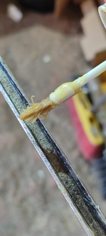 b0e86db0 774f 4786 a554 3cd3d0796036