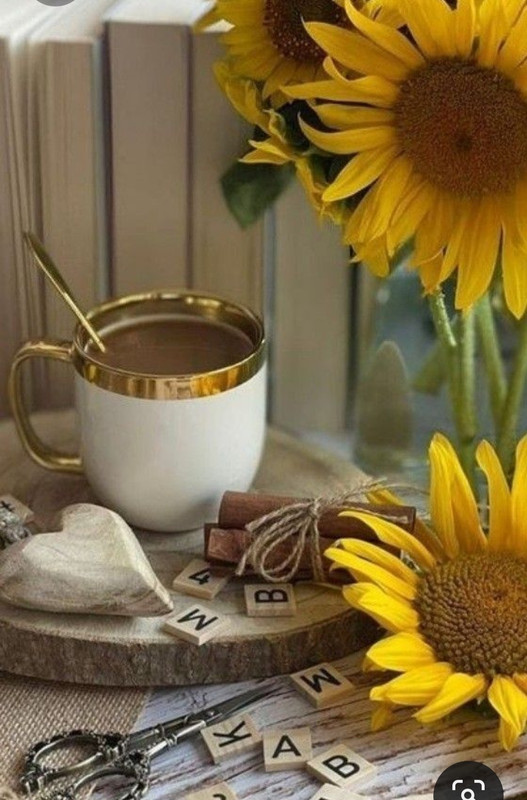 Screenshot_20230705_222006_Pinterest