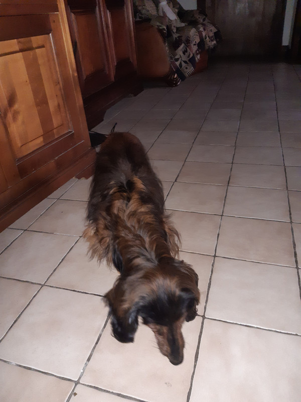 [Image: 20231227-150343.jpg]