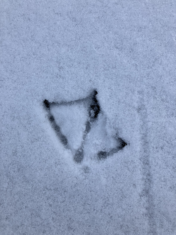 EA94CEA7-9062-4D10-82F9-2256B19752C5