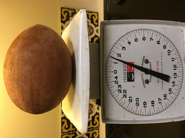 EA78E475-E794-43B1-A5A2-DCA0F443A220