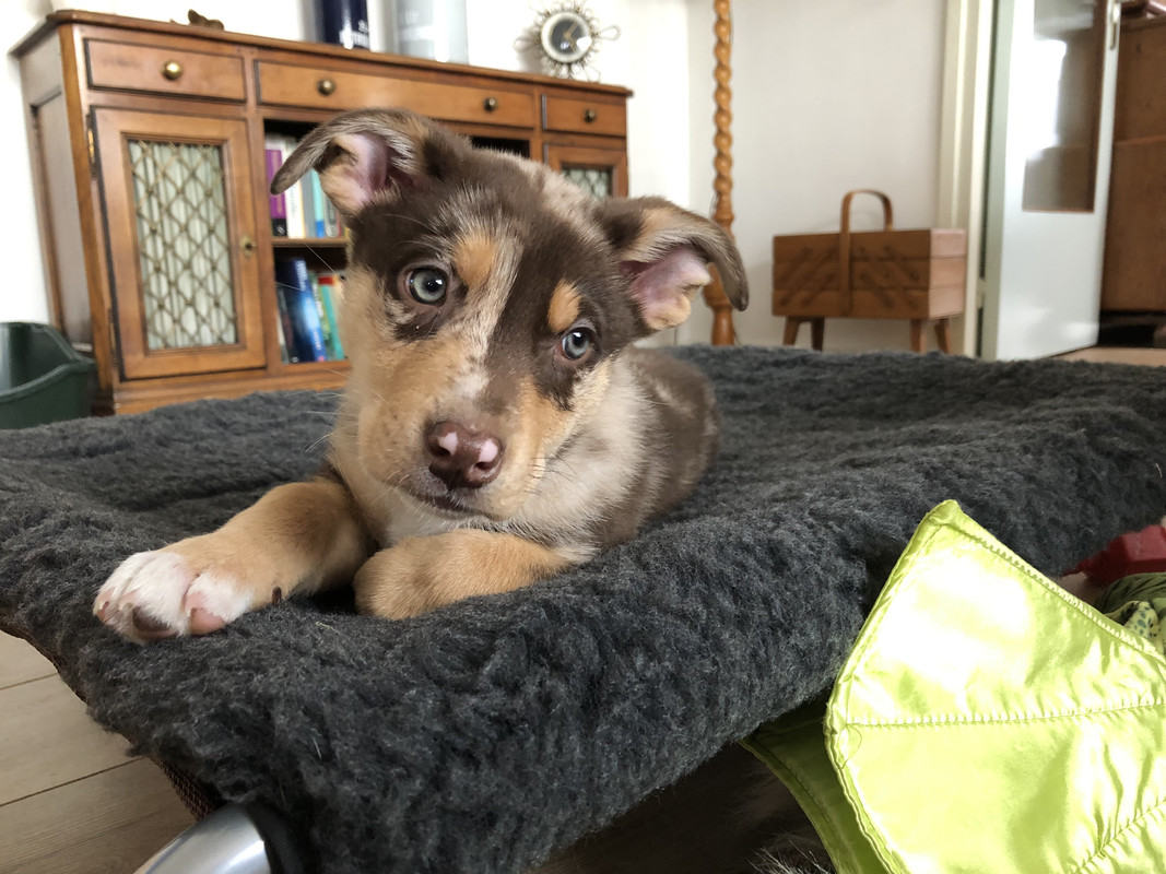 62E8BF6E-F648-4192-933B-2FE5C69D63EC