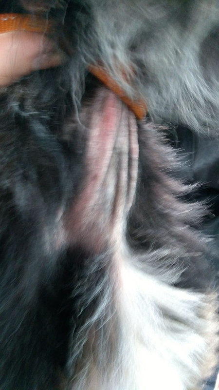 F2324EE0-CE14-40AE-9095-912651B9D17C