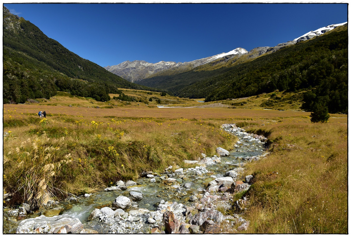Mt Aspiring NP: Rees-Dart Track y Cascade Saddle (febrero 2023) - Escapadas y rutas por la Nueva Zelanda menos conocida (53)