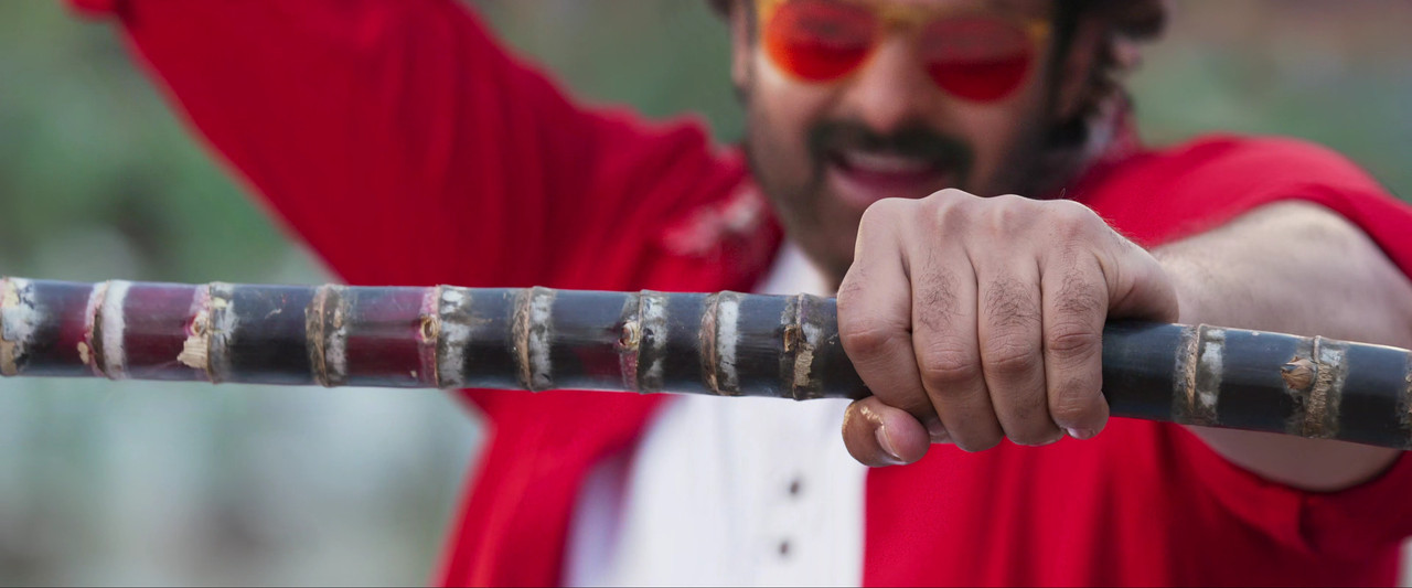 The Rajasaab0254