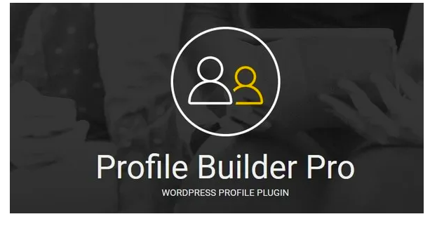 profilebuilderpro 3131