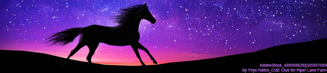 Purple-Sky-Banner-1.jpg