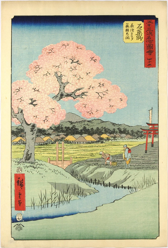 Ishiyakushi_ Yoshitsune sakura Noriyori no hokora (Ishiyakushi_ Yoshitsune's Cherry Blossoms, Noriyo